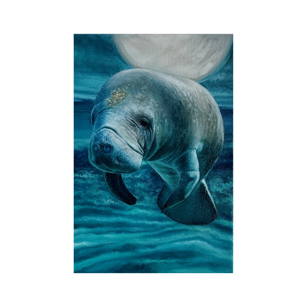 'Miniature Manatee' - 5x7in Oil Painting