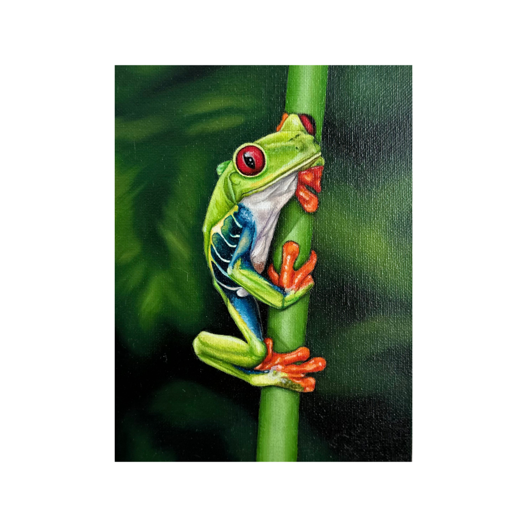 'Red-Eyed Tree Frog' - 6x8in Oil Painting